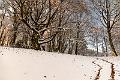 2017_12_02_Mont Beuvray (0126)